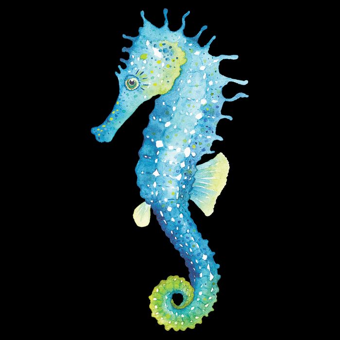 Watercolor Seahorse Visor