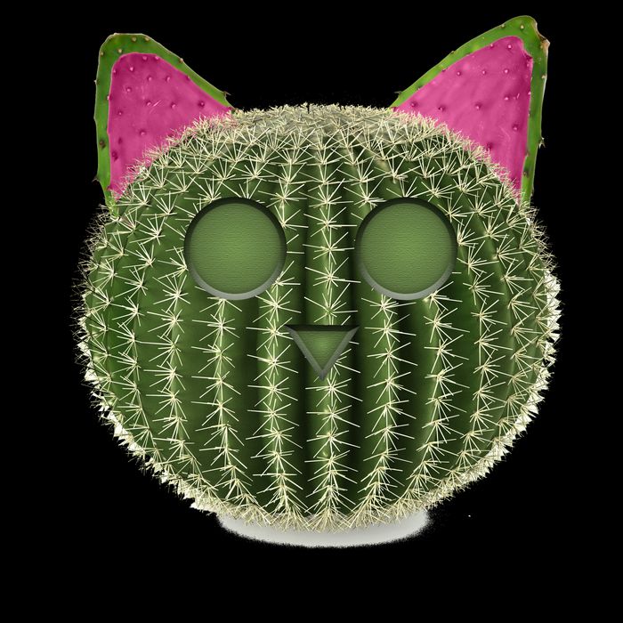 Watermelon Cactus Cat Catcus Drawstring Bag