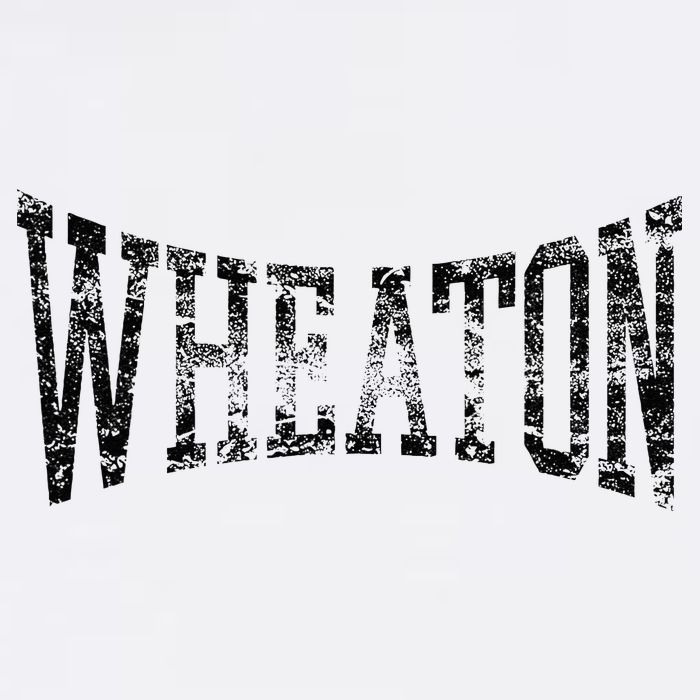 Wheaton Arch Vintage College Athletic Sports Toddler T-Shirt