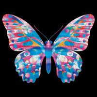Wavy Colorful Butterfly Illustration  Hoodie