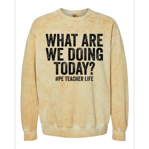 What are we doing today PE Teacher life Physical Education Colorblast Crewneck Sweatshirt