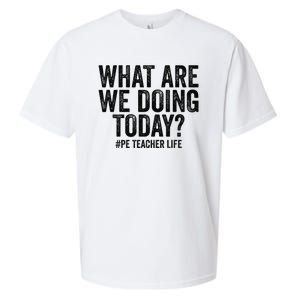 What are we doing today PE Teacher life Physical Education Sueded Cloud Jersey T-Shirt