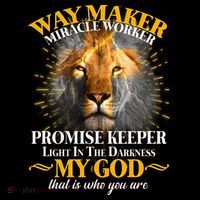 Way Maker Miracle Worker Lion Sustainable Knit Beanie