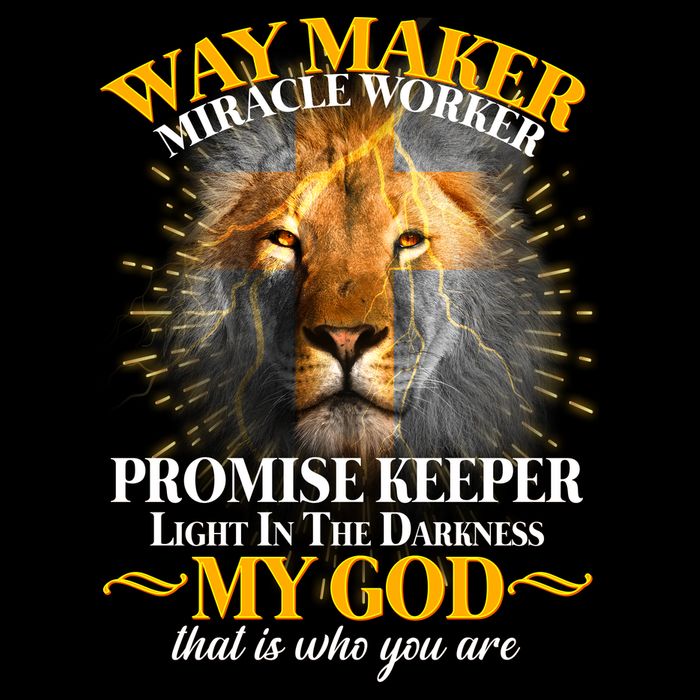 Way Maker Miracle Worker Lion Wool Snapback Cap