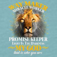 Way Maker Miracle Worker Lion Sueded Cloud Jersey T-Shirt