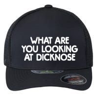What Are You Looking At Dicknose Flexfit Unipanel Trucker Cap