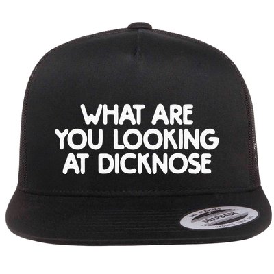 What Are You Looking At Dicknose Flatbill Hat
