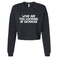 What Are You Looking At Dicknose Cropped Pullover Crew