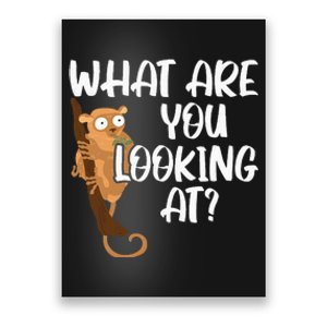 What Are You Looking At Big Eyes Animal Lover Tarsier Poster