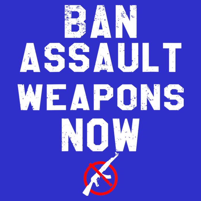 Womens Ban Assault Weapons Now Anti Gun March T-Shirt
