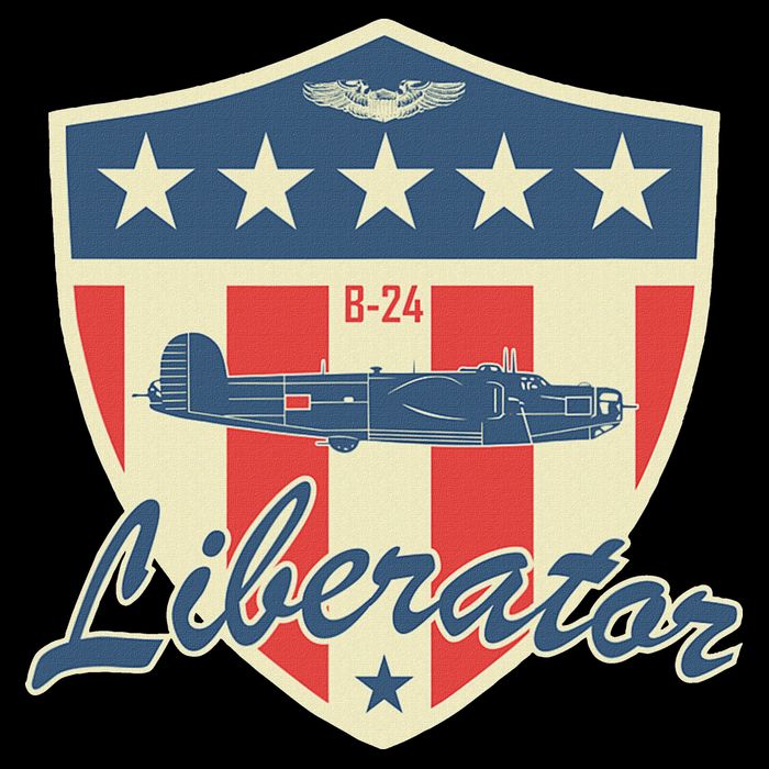 Ww2 Bomber Airplane 24 Liberator Sustainable Bucket Hat