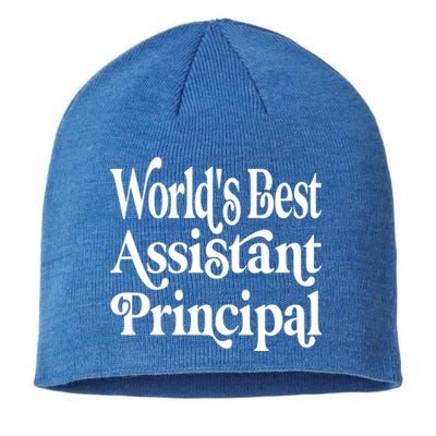 Worlds Best Assistant Principal For Assistant Principals Meaningful Gift Sustainable Beanie