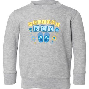 Welcome Baby Boy Gift Toddler Sweatshirt