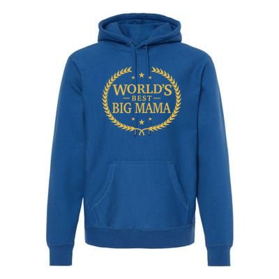 World's Best Big Mama Cute Gift Greatest Ever Award Gift Premium Hoodie