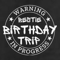 Warning Bestie Birthday Trip In Progress Matching Bd Adult Drive Performance Visor