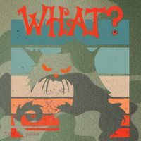 What? Black Cat Kitty For Man And Woman Funny Cat Legacy Tie Dye Trucker Hat