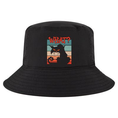 What? Black Cat Kitty For Man And Woman Funny Cat Cool Comfort Performance Bucket Hat