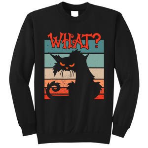 What? Black Cat Kitty For Man And Woman Funny Cat Sweatshirt