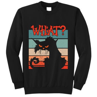 What? Black Cat Kitty For Man And Woman Funny Cat Sweatshirt