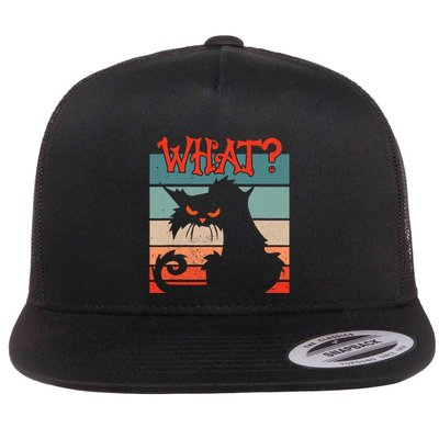 What? Black Cat Kitty For Man And Woman Funny Cat Flatbill Hat