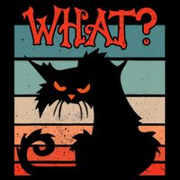 What? Black Cat Kitty For Man And Woman Funny Cat Magnet