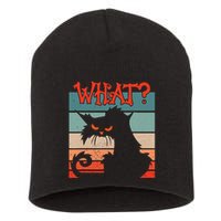 What? Black Cat Kitty For Man And Woman Funny Cat Short Acrylic Beanie