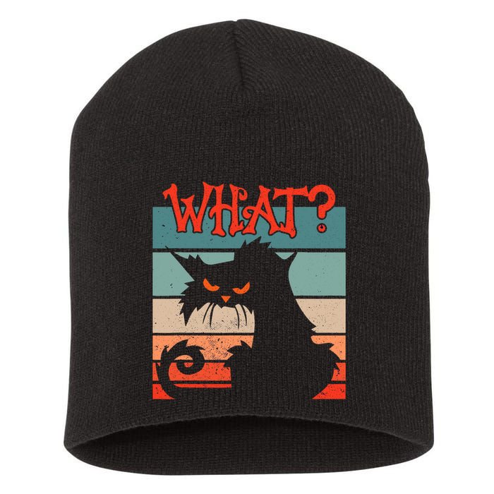 What? Black Cat Kitty For Man And Woman Funny Cat Short Acrylic Beanie