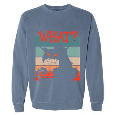 What? Black Cat Kitty For Man And Woman Funny Cat Garment-Dyed Sweatshirt