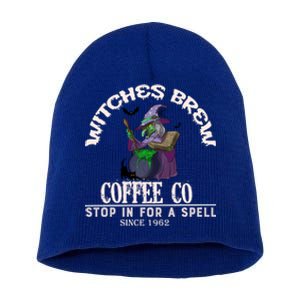 Witches Brew Coffee Co Cute Halloween Coffee Lovers Ideas Great Gift Short Acrylic Beanie