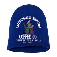 Witches Brew Coffee Co Cute Halloween Coffee Lovers Ideas Great Gift Short Acrylic Beanie