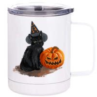 Witch Black Cat Pumpkin Halloween 12 oz Stainless Steel Tumbler Cup