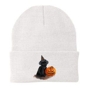 Witch Black Cat Pumpkin Halloween Knit Cap Winter Beanie