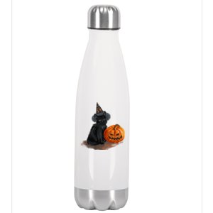 Witch Black Cat Pumpkin Halloween Stainless Steel Insulated Water Bottle