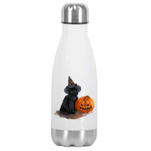 Witch Black Cat Pumpkin Halloween Stainless Steel Insulated Water Bottle