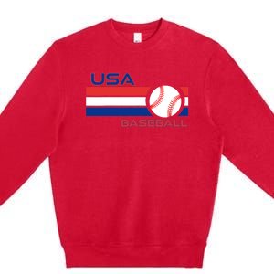 Wo Ball Dad Love USA Professional Baseball American Flag Themed V-Neck Premium Crewneck Sweatshirt