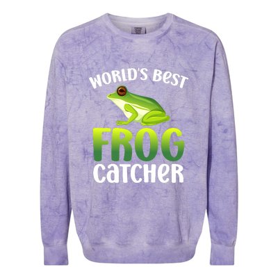 World's Best Frog Catcher Boys Girls Frog Hunter Colorblast Crewneck Sweatshirt