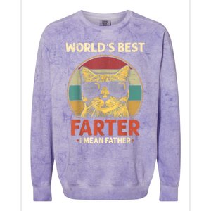 Worlds Best Farter I Mean Father Best Cat Dad Ever Funny Colorblast Crewneck Sweatshirt