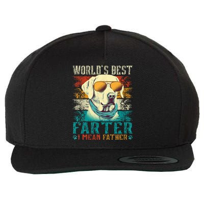 Worlds Best Farter I Mean Father Best Dad Ever Cool Dog Wool Snapback Cap