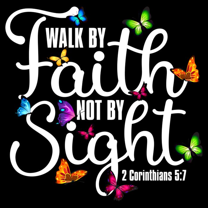 Walk By Faith Not By Sight 2 Corinthians 5 7 Butterfly Art Gift Wool Snapback Cap
