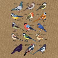 Wildlife Birds Gift For Bird Watching Birder Cotton Canvas Backpack