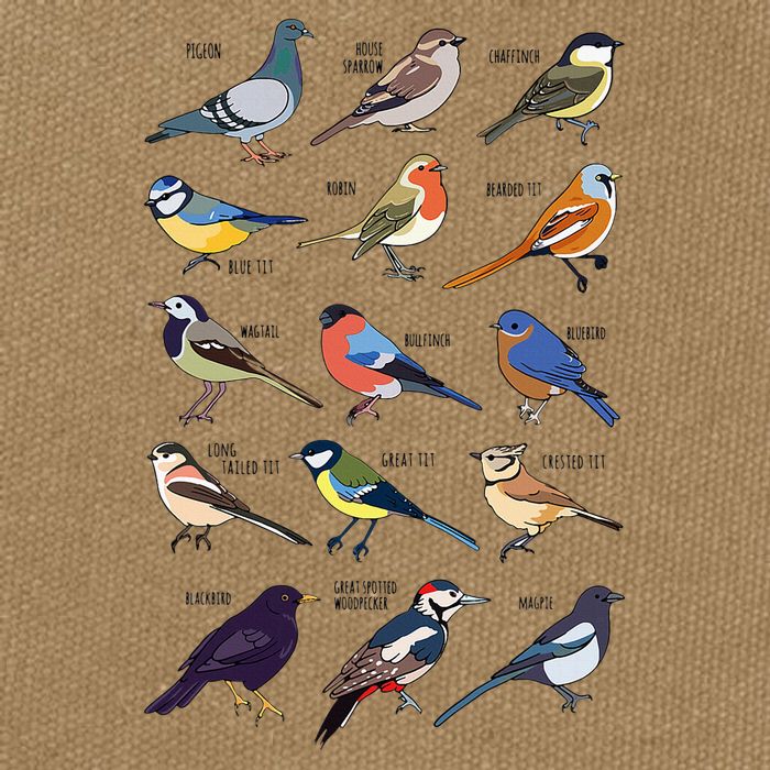 Wildlife Birds Gift For Bird Watching Birder Cotton Canvas Backpack