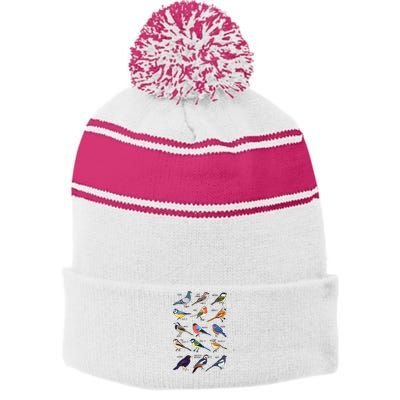 Wildlife Birds Gift For Bird Watching Birder Stripe Pom Pom Beanie