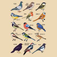 Wildlife Birds Gift For Bird Watching Birder Drawstring Bag