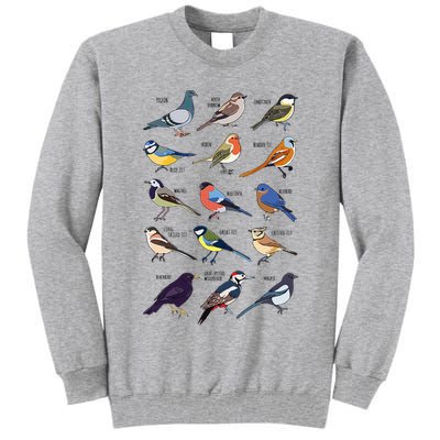Wildlife Birds Gift For Bird Watching Birder Tall Sweatshirt
