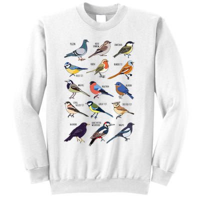 Wildlife Birds Gift For Bird Watching Birder Sweatshirt