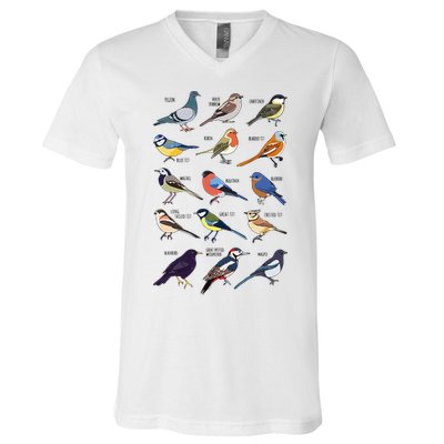 Wildlife Birds Gift For Bird Watching Birder V-Neck T-Shirt