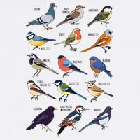 Wildlife Birds Gift For Bird Watching Birder Cooling Performance Long Sleeve Crew