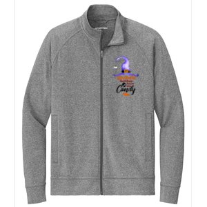 Witch Better Have My Candy Purple Hat With Spider Halloween Gift Stretch Full-Zip Cadet Jacket