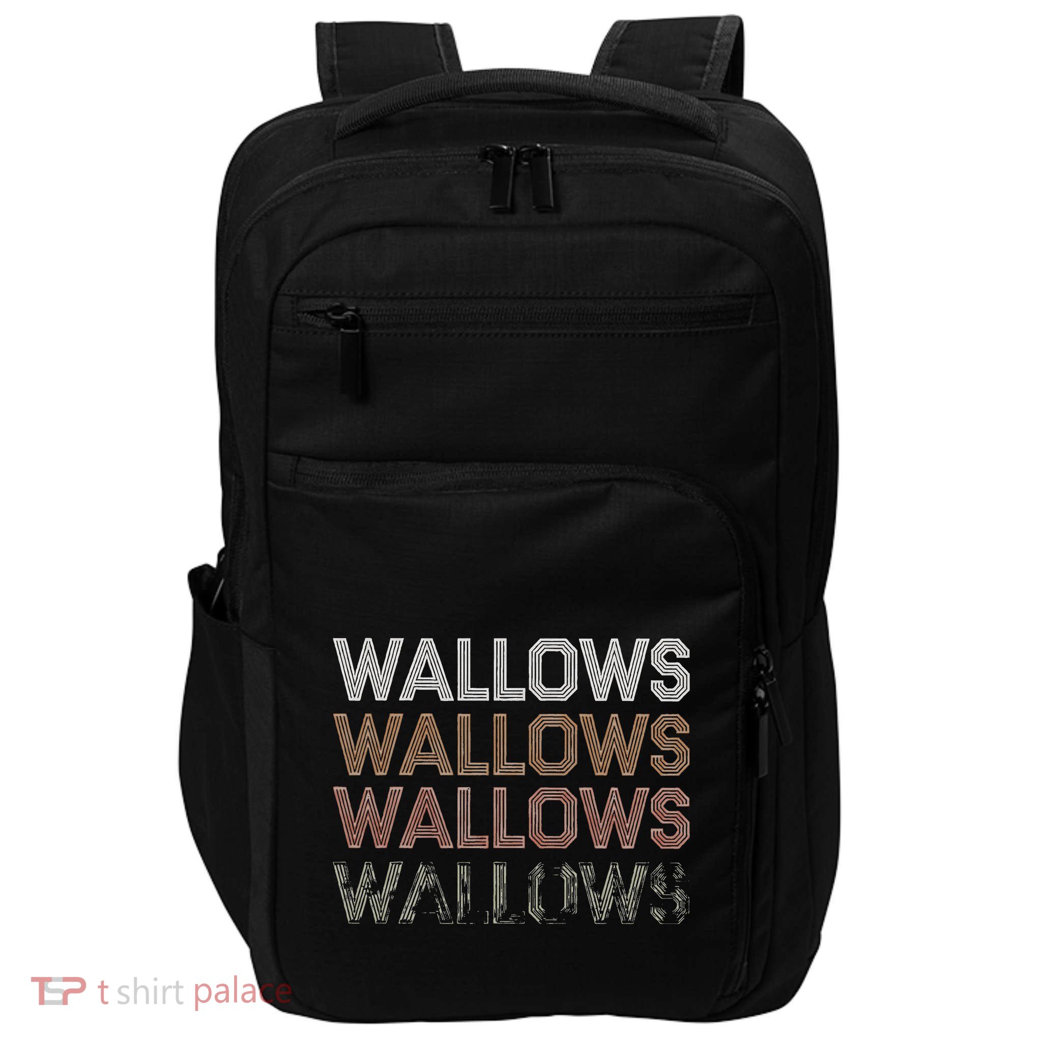Wallows Band Indie Rock Pop Music Impact Tech Backpack