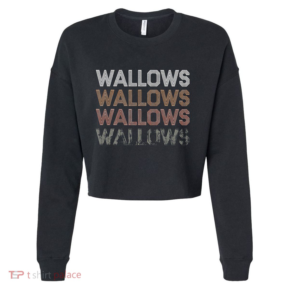 Wallows Band Indie Rock Pop Music Cropped Pullover Crew